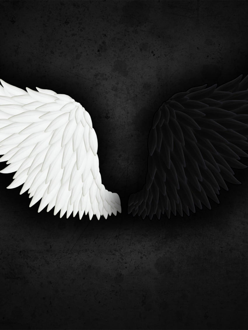 Wings on Dog, black and white angel wings HD phone wallpaper | Pxfuel