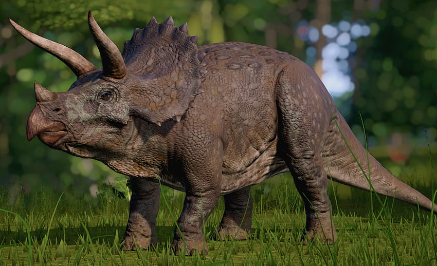 Triceratops Jurassic World Evolution HD-Hintergrundbild