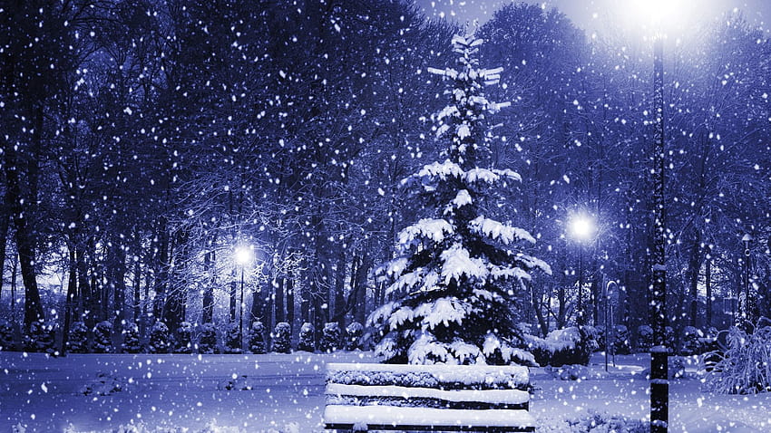 1920x1080 new year, snow, magic christmas night, christmas tree, town, winter, trees, nature, merry christmas 106385, christmas trees snow HD wallpaper