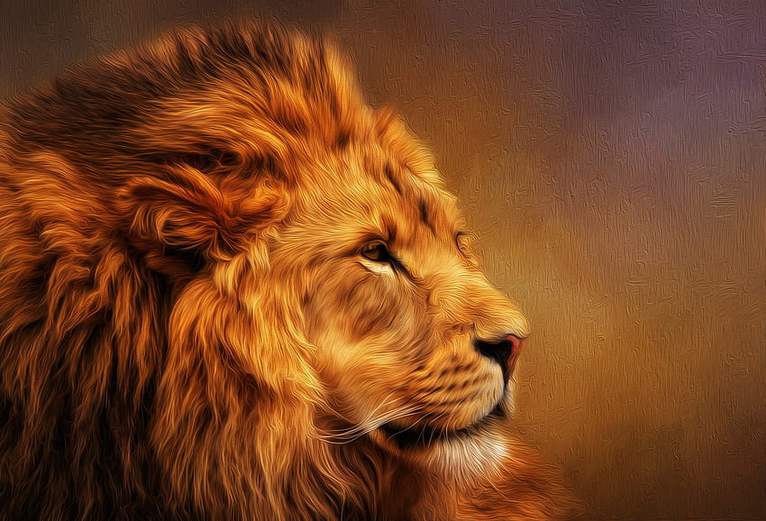 Lion Art 4K wallpaper download