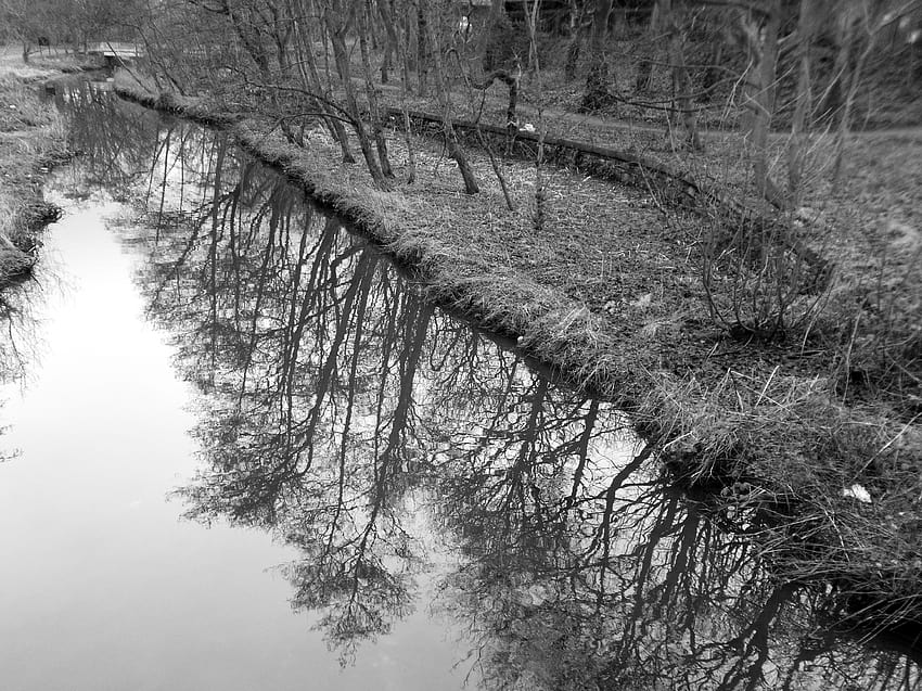 : man, humanfigures, park, copse, trees, treeline, reflections, waterreflections, winter, branches, water, Brook, stream, tranquil, tranquility, Serenity, serene, peaceful, monochrome, blackandwhite, bw, melancholic, moody, darkmood 4066x3049 HD wallpaper