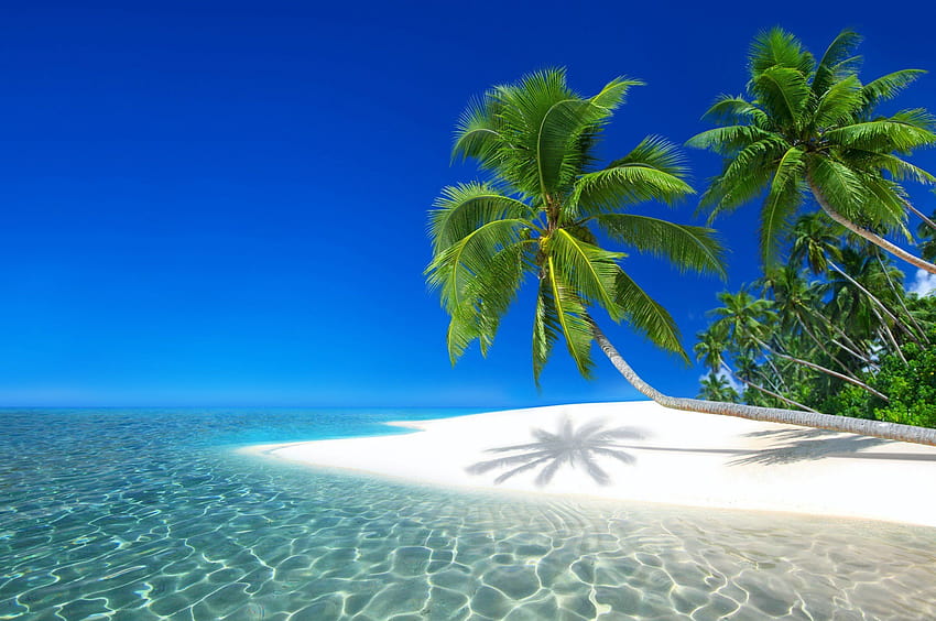 Pantai Untuk Chromebook, Chromebook musim panas Wallpaper HD