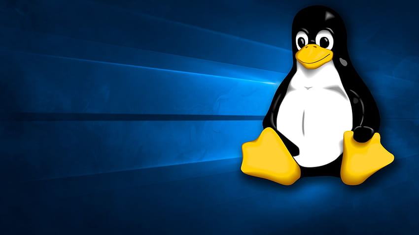 Linux ペンギン、Linux ウィンドウ 高画質の壁紙