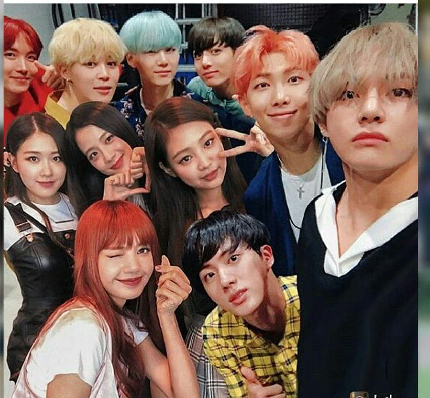 Ai Meu Cuuuublackpink Bts Dan Blackpink Wallpaper Hd Pxfuel 0924