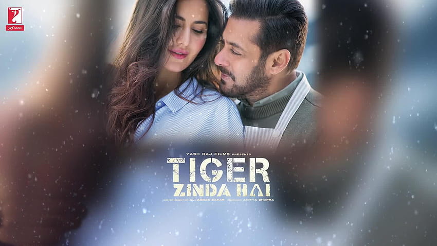 Güzel Salman Khan Katrina Kaif Tiger Zinda Hai HD duvar kağıdı