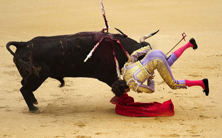 Bullfighting, bullfighter HD wallpaper
