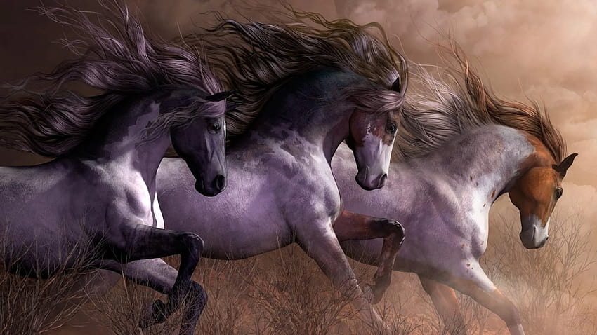 Galloping Wild Horses, mustang horse HD wallpaper