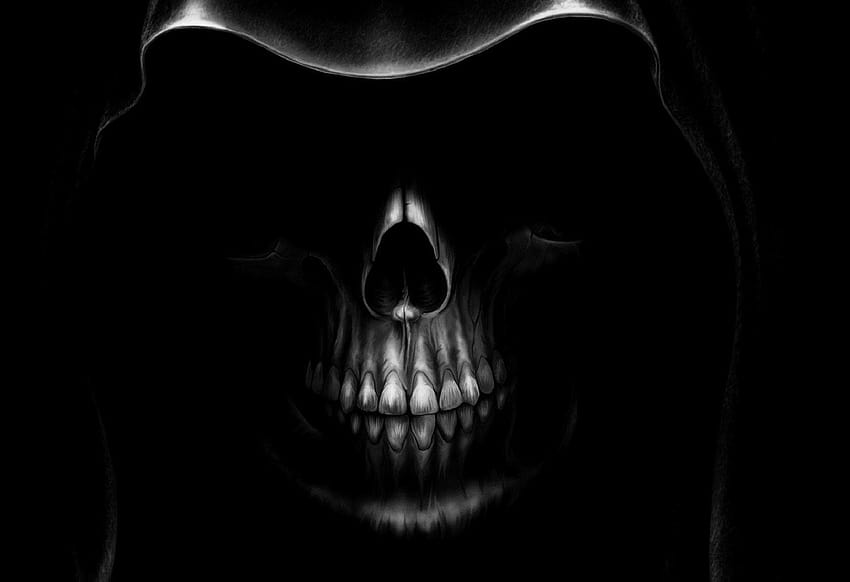 Skeleton on Dog, black skeleton HD wallpaper