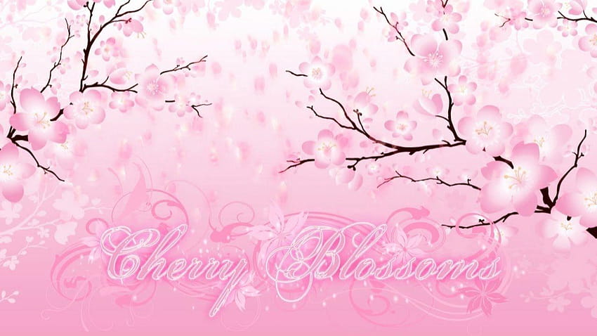 Falling Petals Cherry Blossom Flourish Backgrounds, background cherry blossom HD wallpaper