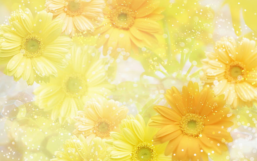 Groupe d'arrière-plans de fleurs jaunes, plantes à fleurs jaunes Fond d'écran HD