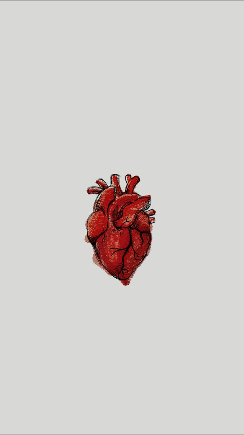 Истинско сърце, медицинско сърце HD тапет за телефон