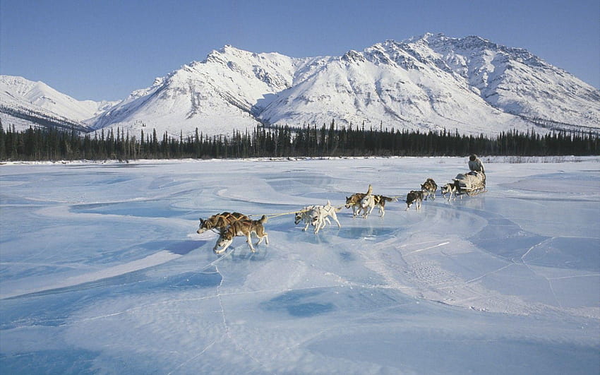 USA, gates of the arctic national park and preserve HD wallpaper