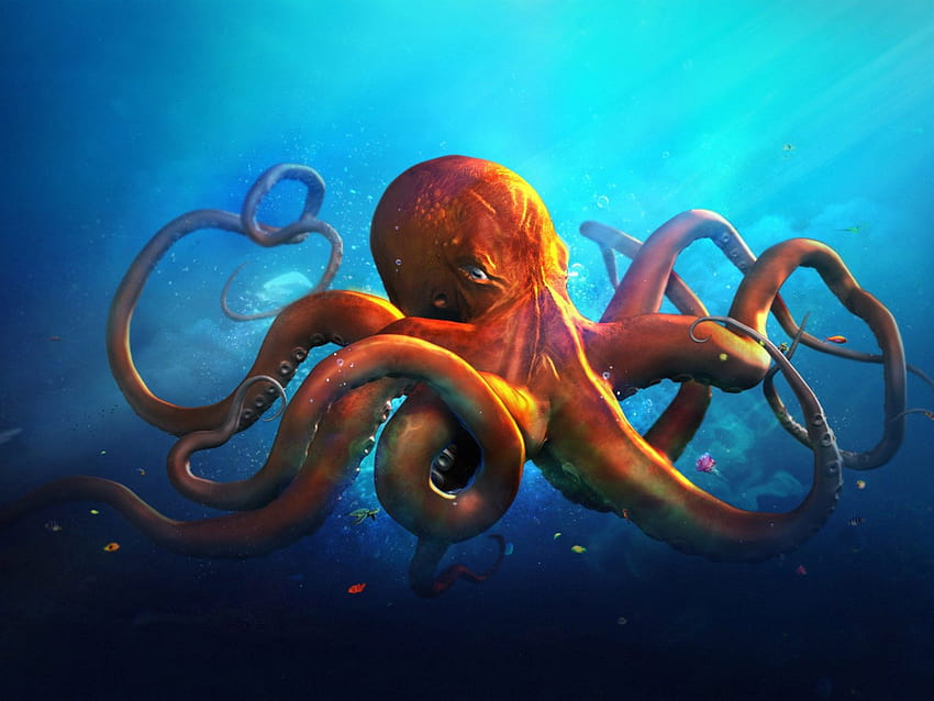 Orange Octopus Blue Seawater : 13 HD wallpaper