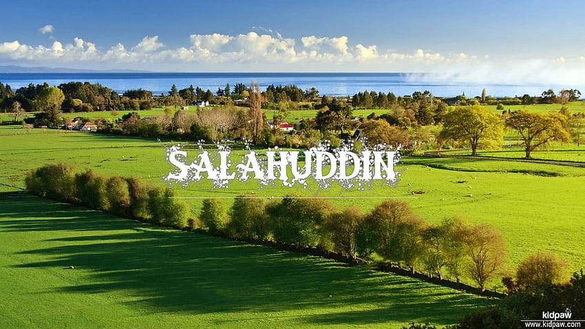 ชื่อเด็กชายทารกชาวคริสเตียน Salahuddin ความหมาย, ศาสนา, รายละเอียดแหล่งกำเนิดสินค้า, Saladin วอลล์เปเปอร์ HD