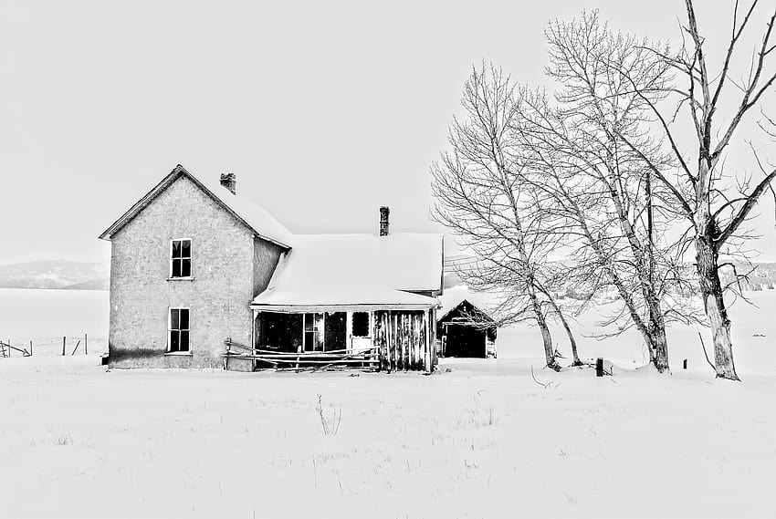 : trees, building, abandoned, sky, snow, house, frost, barn, zing, Montana, cottage, tree, home, blizzard, facade, farmhouse, black and white, monochrome graphy, winter storm, davemeyer 2500x1674, farmhouse winter HD wallpaper