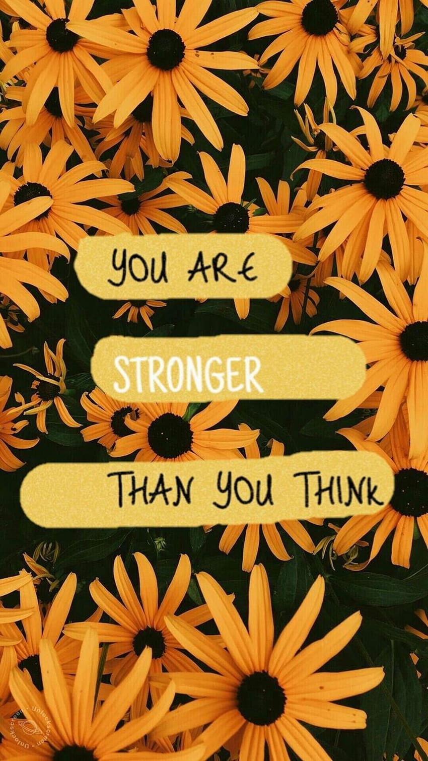 Você é mais forte do que pensa, sunflowers with quotes HD phone wallpaper