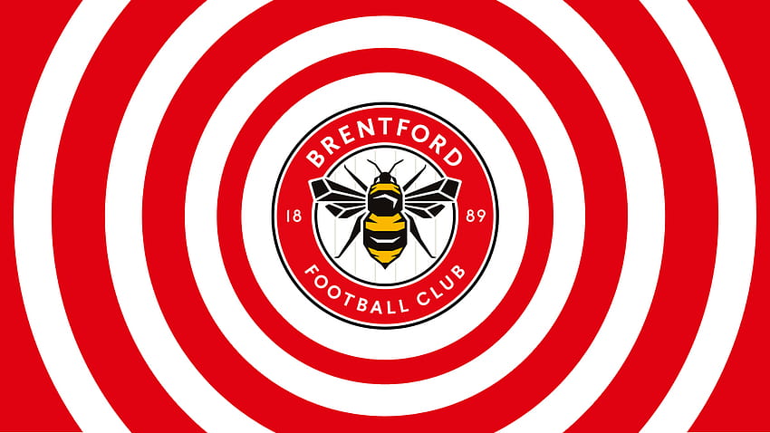 Brentford FC - Target Scouting, equipe brentford papel de parede HD