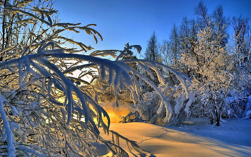 Soleil de neige, paysages d'hiver Fond d'écran HD