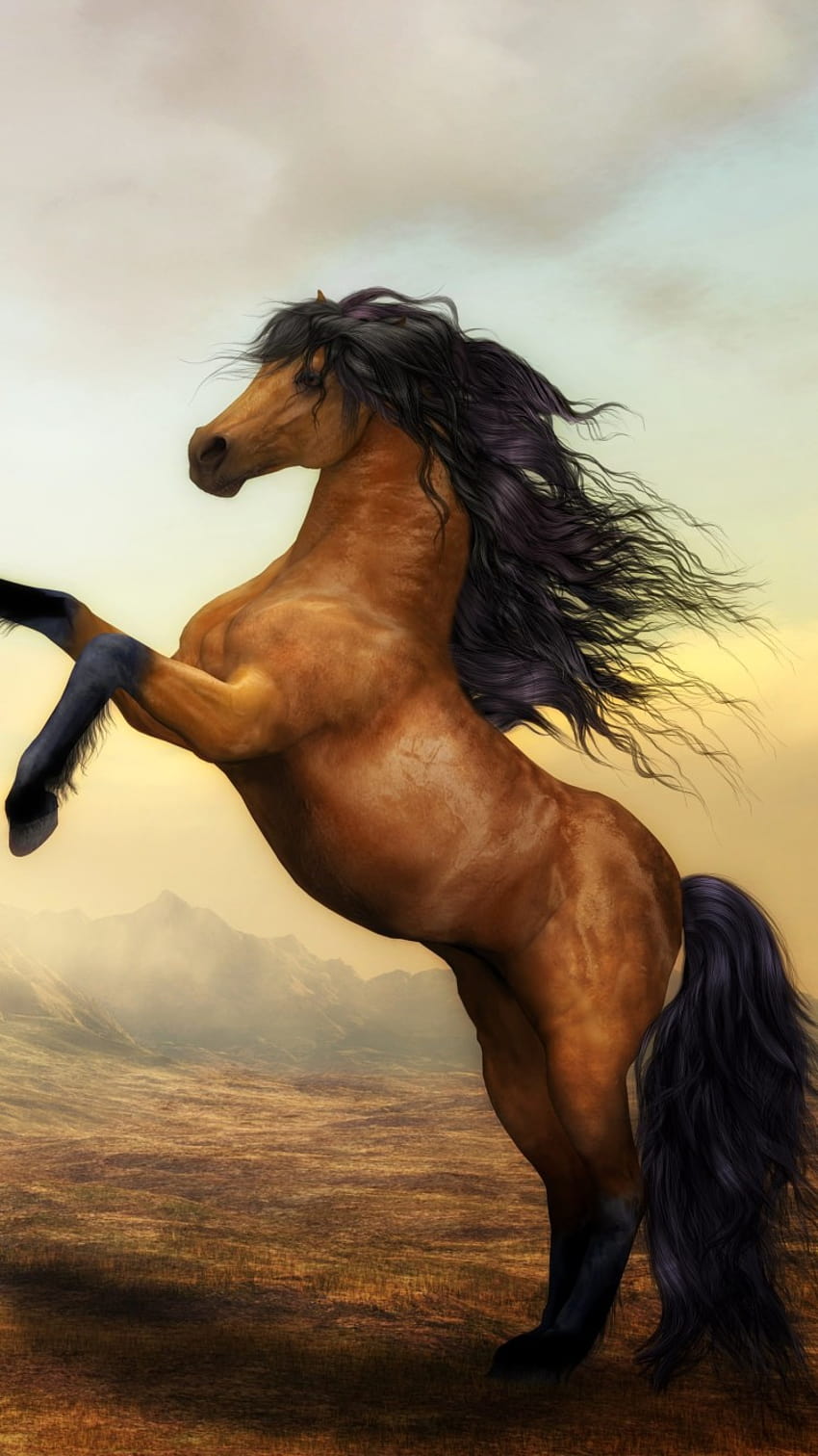 Arabisches Pferd Iphone HD-Handy-Hintergrundbild