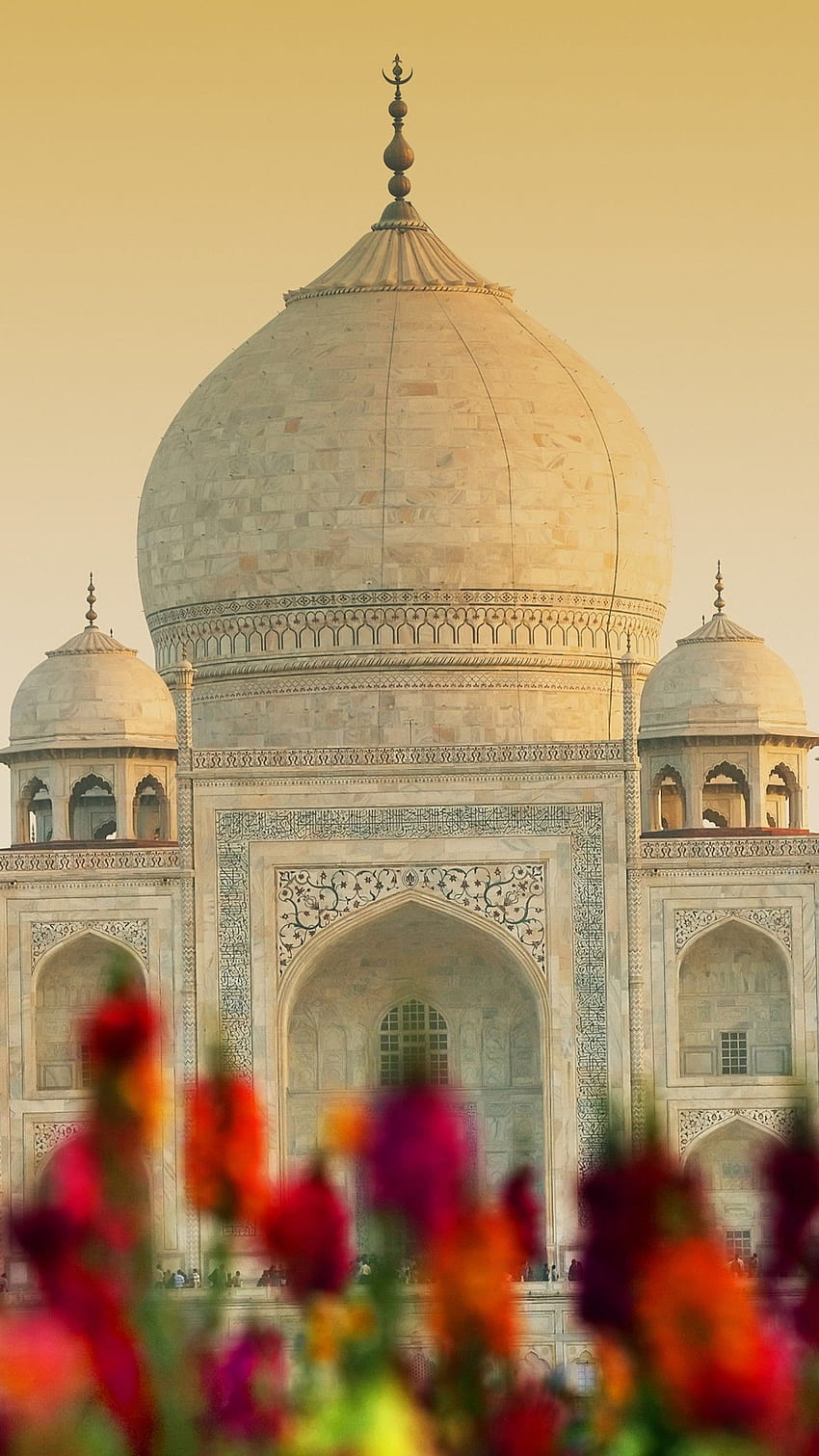 Taj Mahal, Agra, India, UNESCO World Heritage Site, Wonders of the World, 세계, 인도 모바일 HD 전화 배경 화면