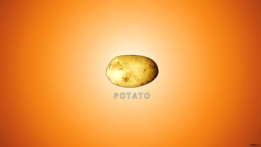 Best 5 Potato Backgrounds on Hip, cute potato HD wallpaper