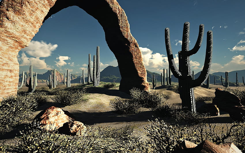 пейзажи, природа, пустиня, кактус / и мобилни фонове, пустинен кактус HD тапет