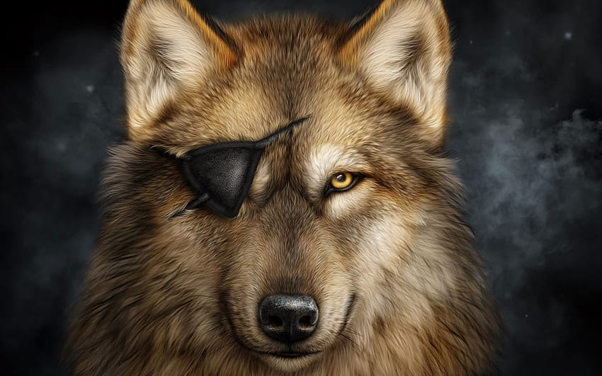Brown And Black Short, wolves and cats HD wallpaper