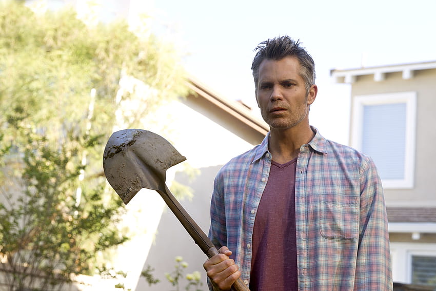 Santa Clarita Diet: everything you want to know about the show HD wallpaper