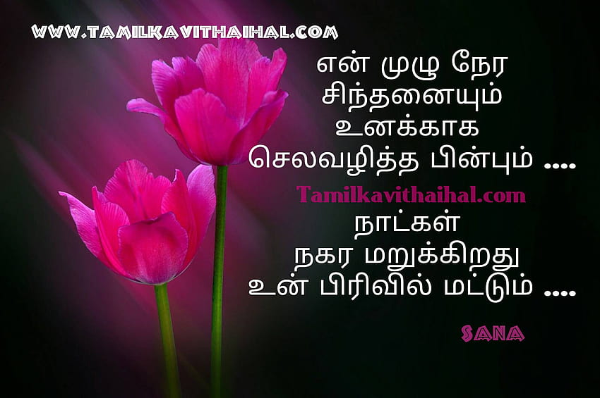 Real Life Love Quotes In Tamil With Pain Kavithai For, pain quotes HD  wallpaper | Pxfuel
