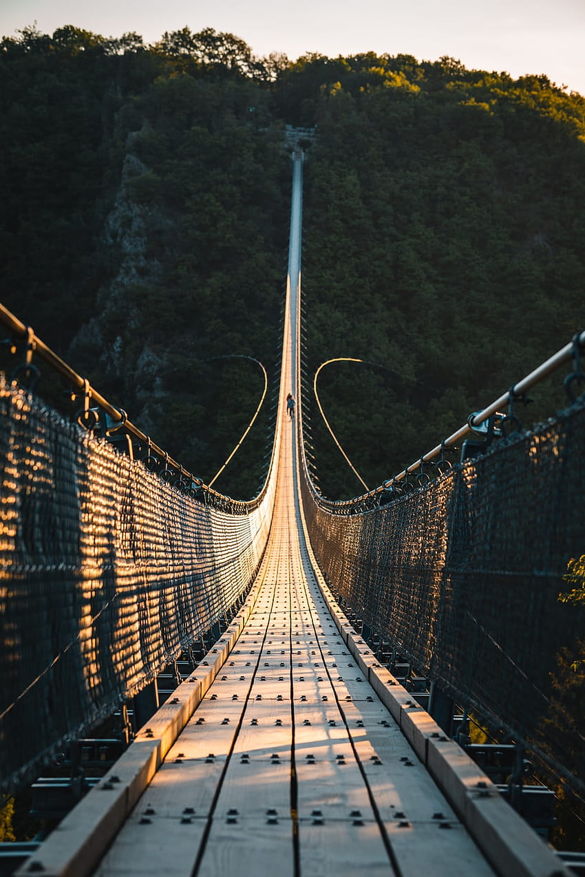кафяв дървен мост в гората през деня – Hängeseilbrücke geierlay, висящ мост HD тапет за телефон