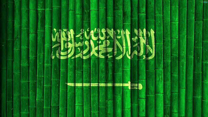 Bendera Negara Islam, bendera palestina HD wallpaper