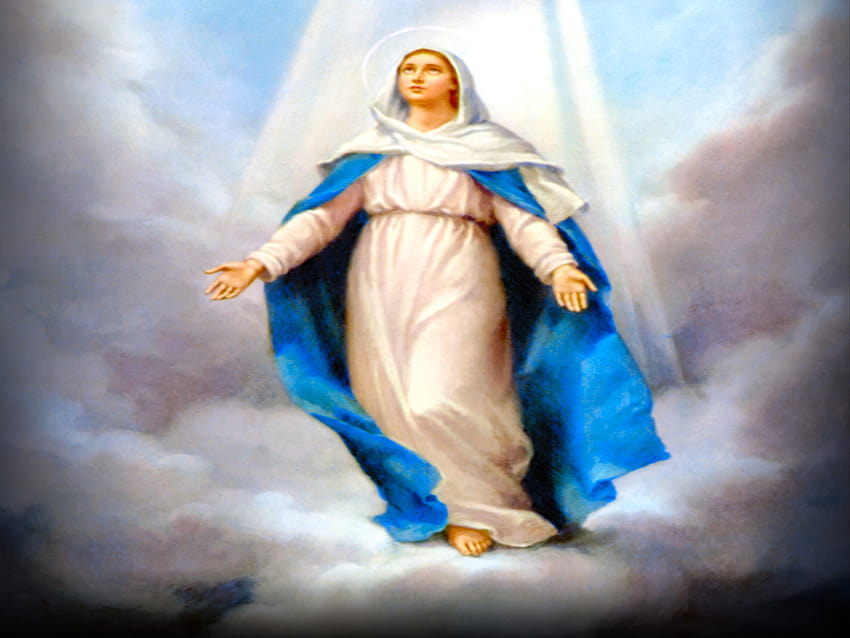 Santa Missa...: ASSUMPÇÃO DA SANTÍSSIMA VIRGEM MARIA AO CÉU, assunção de Maria papel de parede HD