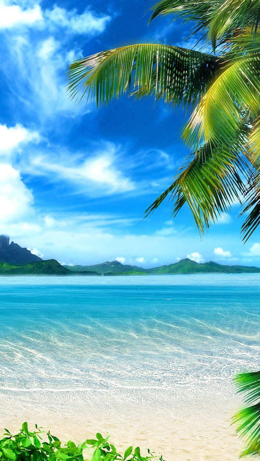 Тропически плажен пейзаж, летен и тропически HD тапет за телефон