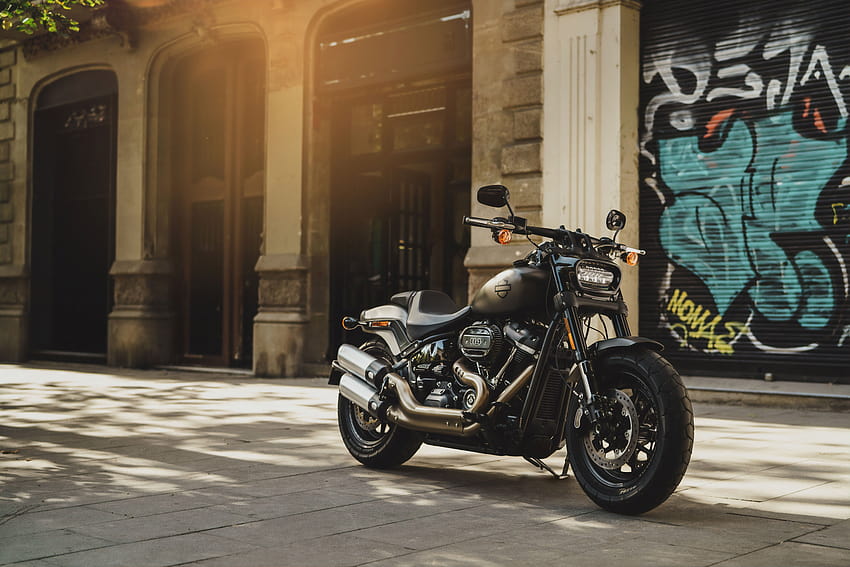 Harley Davidson : ..., cruiser bikes HD wallpaper