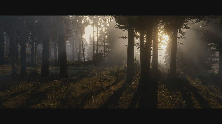 Red Dead Redemption 2-Trailer-schirme helfen Ihnen, alles zu schätzen HD-Hintergrundbild