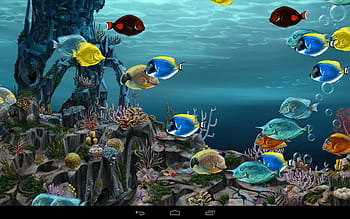Aquarium: Bạn sẽ không thể bỏ qua bức ảnh về một chiếc bể cá đầy màu sắc và đáy cát trắng. Chi tiết đáy bể, những con cá bơi lội quanh co sẽ khiến bạn mê mẩn. Bức ảnh này sẽ mang đến cho bạn một trải nghiệm thư giãn và giảm stress đáng giá.