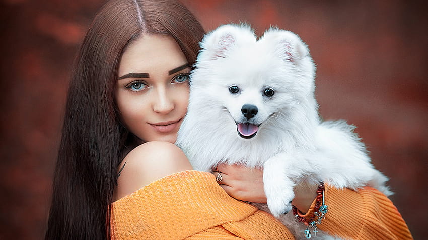 Modèle de belle fille avec chiot chien blanc porte une robe orange dans des arrière-plans flous Fond d'écran HD
