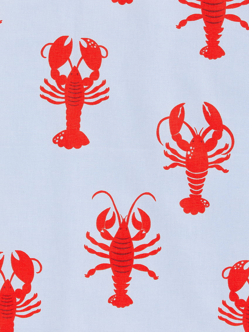 John Lewis & Partners Larry Lobster PVC Tablecloth Fabric at John, larry the lobster HD phone wallpaper