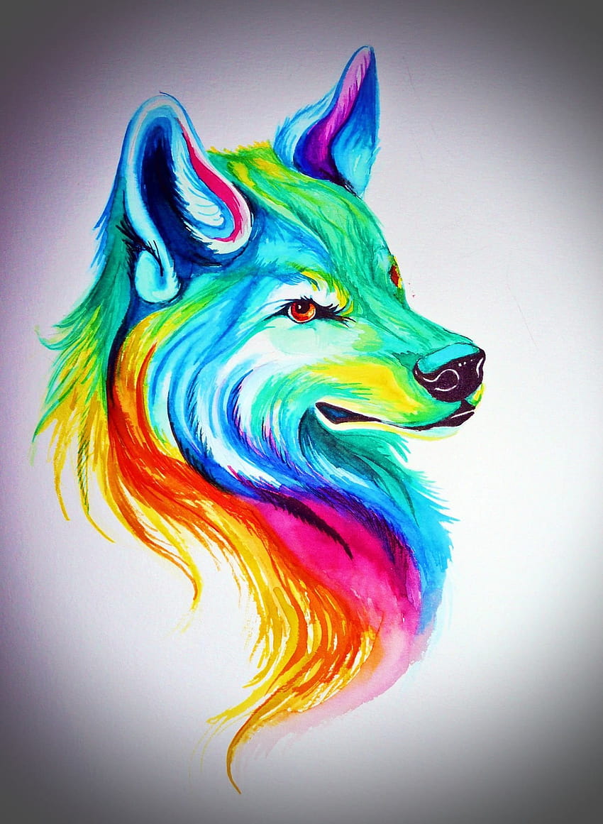 Watercolor Wolf, wolf pencil drawings HD phone wallpaper