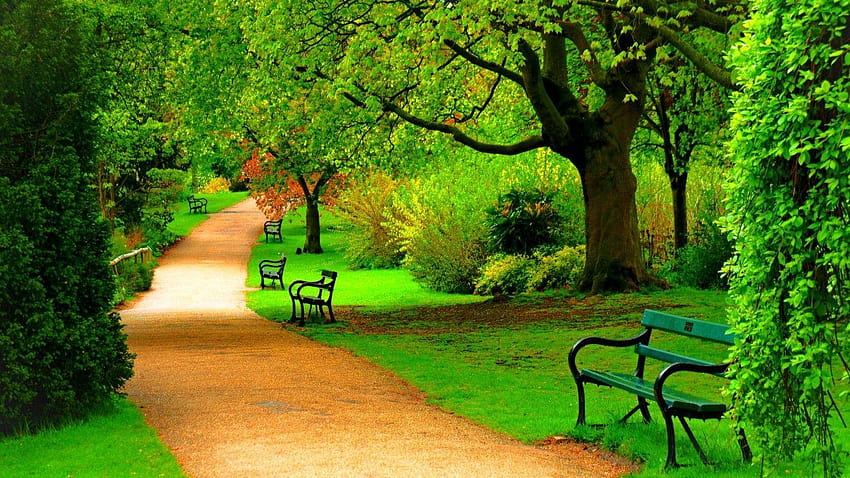 녹색 공원 나무 자연 아름다운 날 1871, 1366x768 자연 HD 월페이퍼