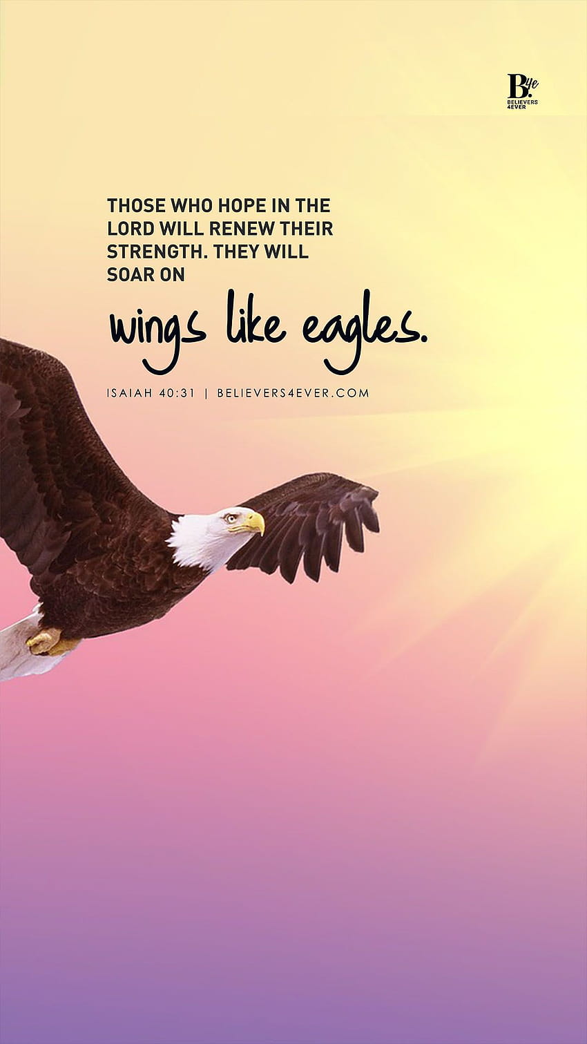 Wings like Eagles, eagle wings HD phone wallpaper