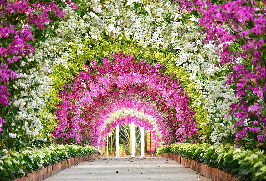 Amazon : Laeacco Fabulous Colorful Floral Archway Backdrop 10x7ft Vinyl Beautiful Flowers Summer Garden Scenery Backgrounds Wedding Celebration Party Banner Bridal Shower Bride Groom Shoot : Electronics, party garden summer HD wallpaper