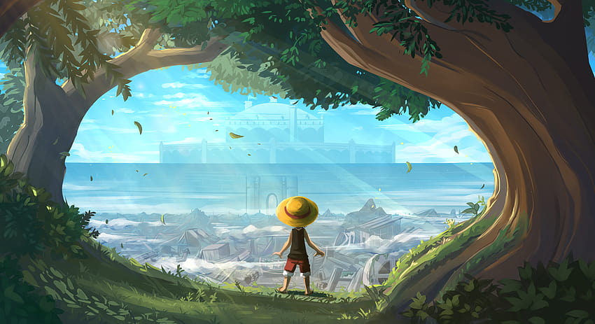 Monkey D Luffy The Edge of the Forest HD wallpaper