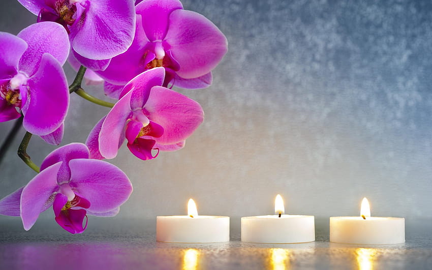 Kerzenlichtschein und lila Blumen Ritual [1920 × 1200, Blumen und Kerzenlicht HD-Hintergrundbild