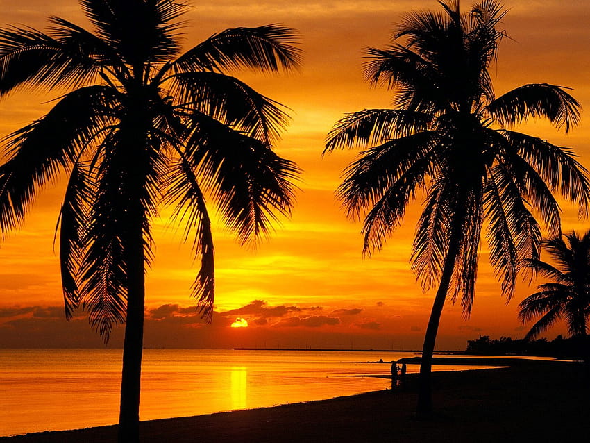 Pemandangan Matahari Terbenam yang Indah di Pantai, matahari terbenam di pantai yang indah Wallpaper HD