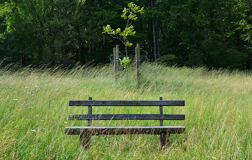 grey and black park bench HD wallpaper