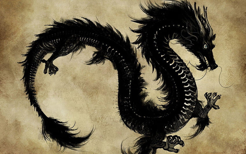 dragon chinois, peinture chinoise dragon oriental Fond d'écran HD
