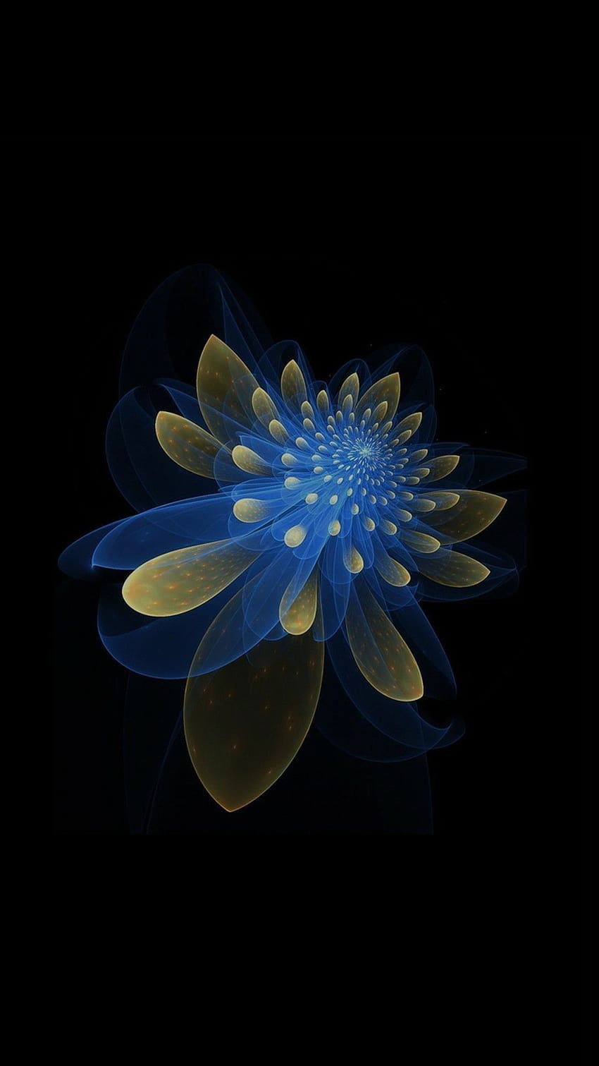 Awesome Amoled Best Of Pin By Tomislav Doriã„‡, super amoled flower HD phone wallpaper