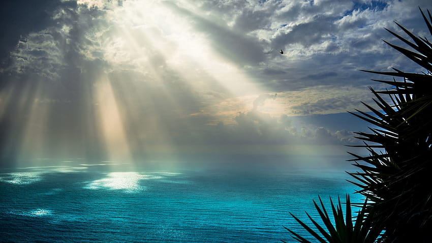 5 Sunbeam and Backgrounds, ray of sun HD wallpaper