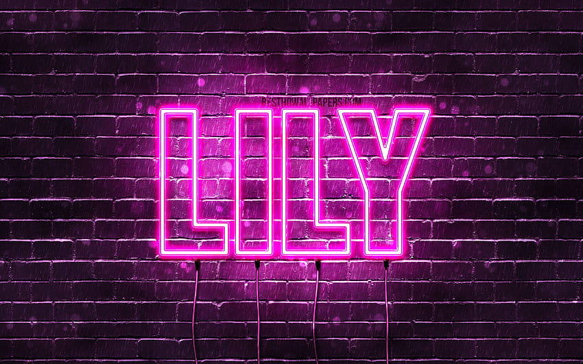 Lily, mit Namen, Frauennamen, Lily-Name, lila Neonlichter, horizontaler Text, mit Lily-Namen im Jahr 2021 HD-Hintergrundbild